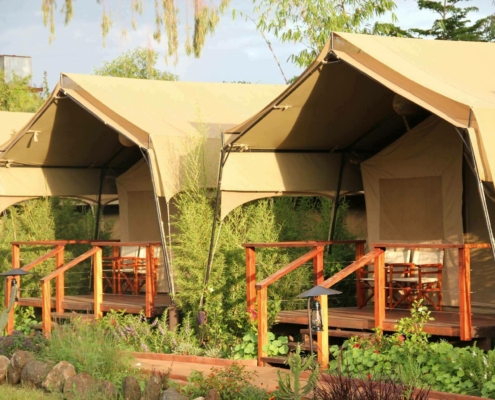 Wildebeest Camp Kenia