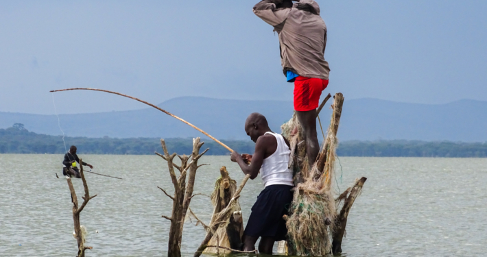 Fischer am Lake Naivasha